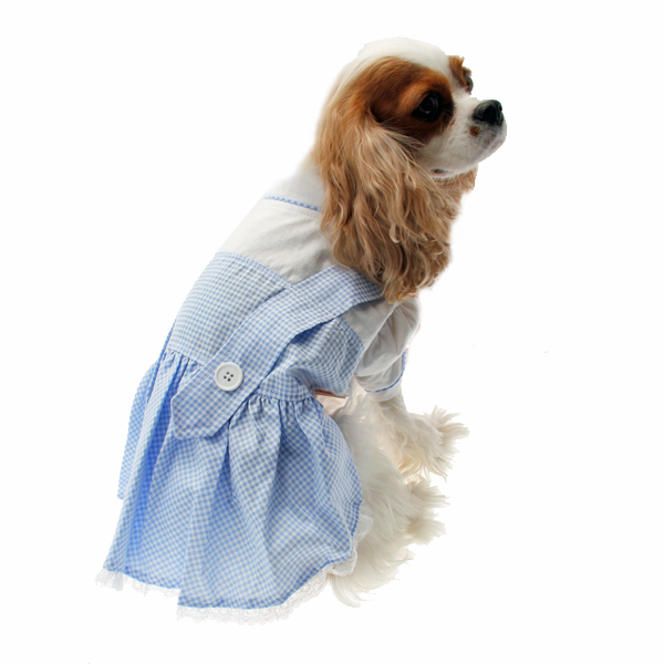 Dorothy Dog Costume
 Dorothy Dog Costume Dress Blue at BaxterBoo