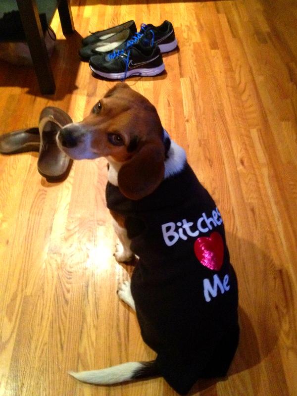 Casual Canine Bitches Love Me Dog T-Shirt | BaxterBoo