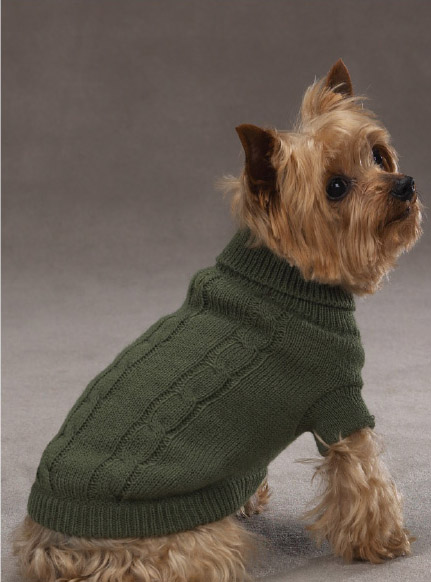 Basic Cable Knit Dog Sweater - Chive at BaxterBoo