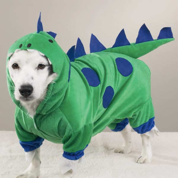 Dinosaur Dog Costumes
 Dinosaur Dog Halloween Costume by Casual Canine