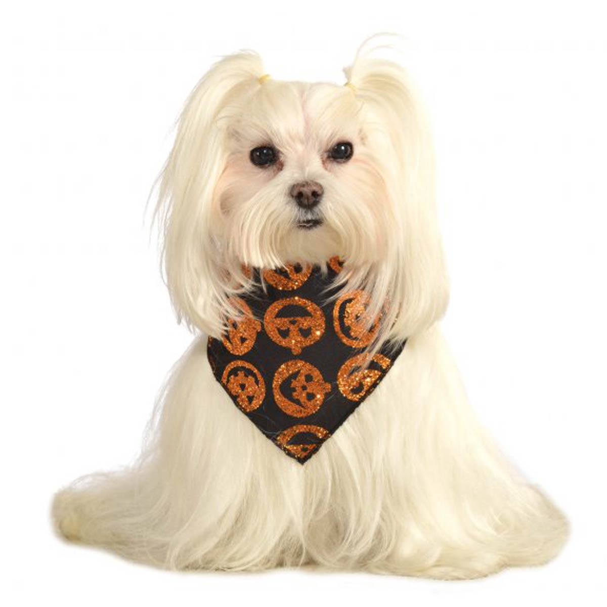 Glitter Pumpkin Dog Bandana