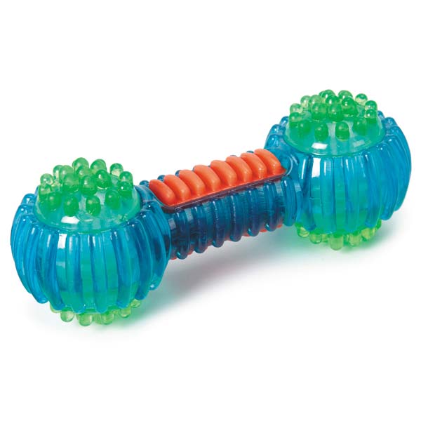 Grriggles FUNdamentals Bumpy Bones Dog Toy - Blue at BaxterBoo