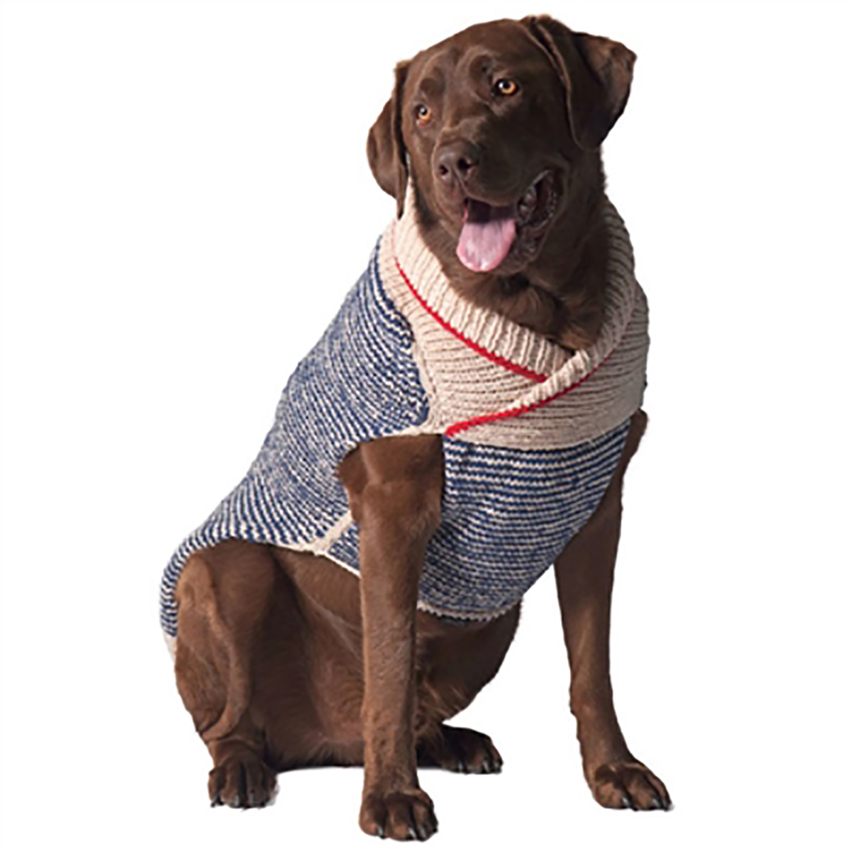 Handmade Spencer Wool Dog Sweater | BaxterBoo