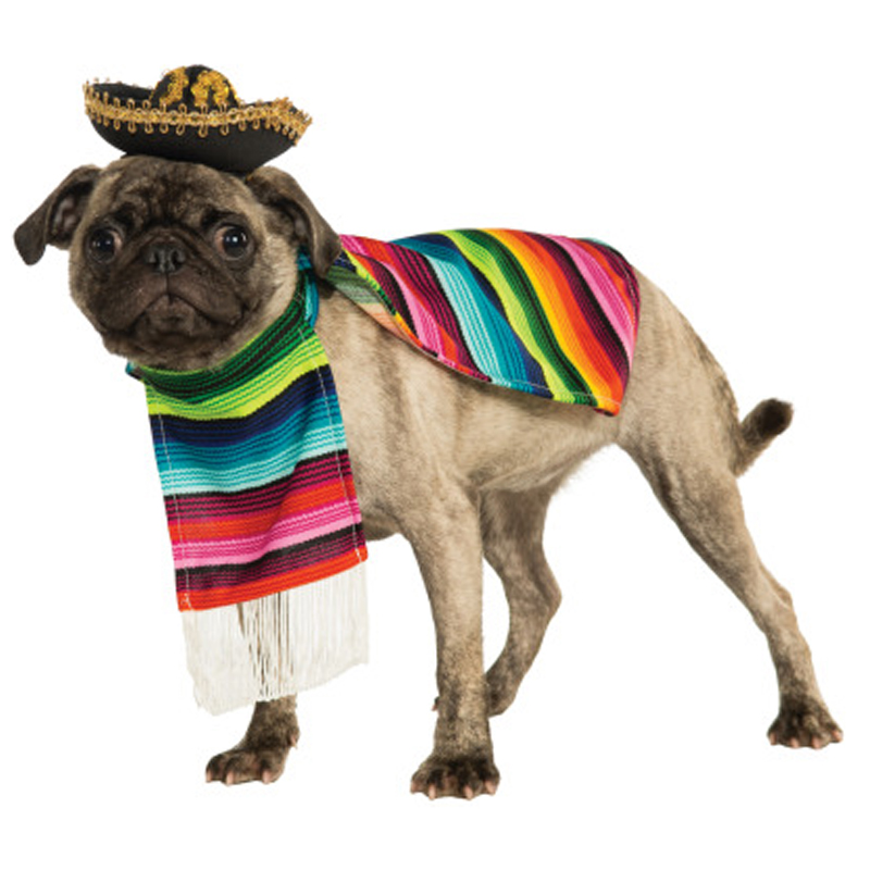 Rubies Serape Pet Costume