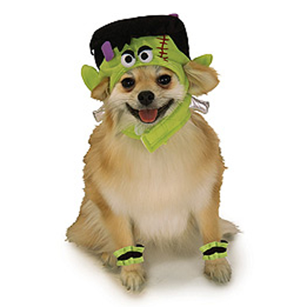 Mini Monster Dog Halloween Costume Hat | BaxterBoo