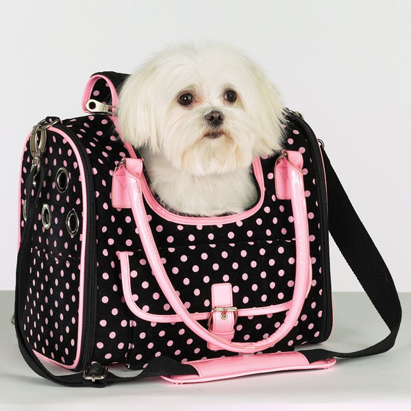 Zack and zoey dog carrier purse