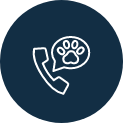 Customer Support