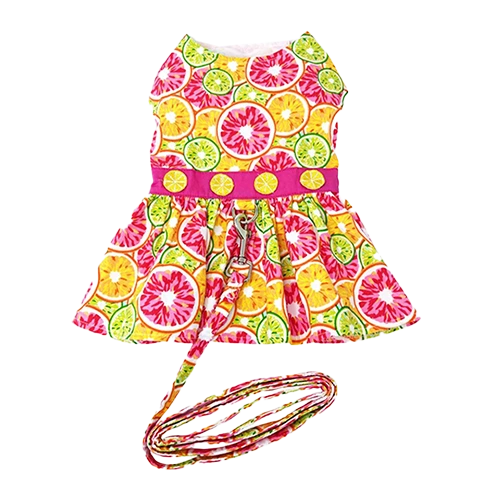 Shop Dog Clothing