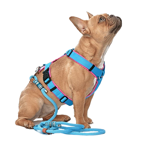 Shop Dog Harnesses