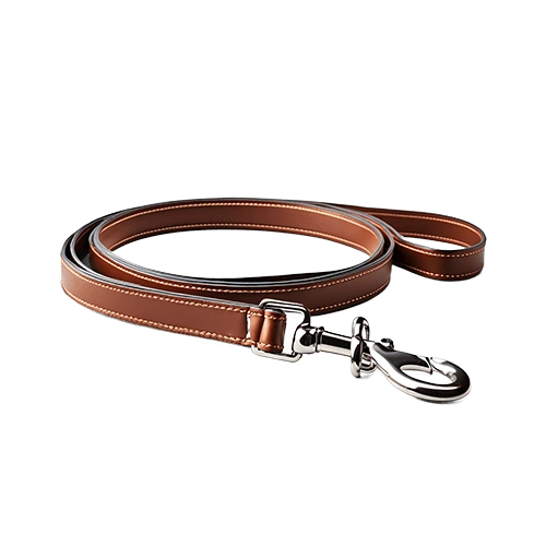 Shop for Pet Leashes