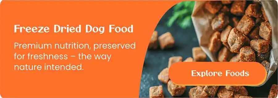 freeze dried dog food