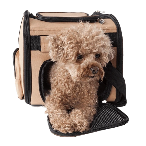 Shop travel carriers
