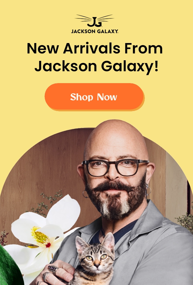 Jackson Galaxy pet store