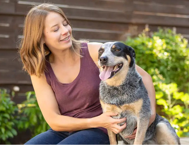 About Acana Pet Food