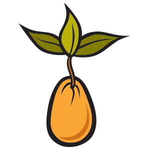 Organic Sprouted Seeds