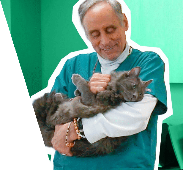 Dr Marty Mission
