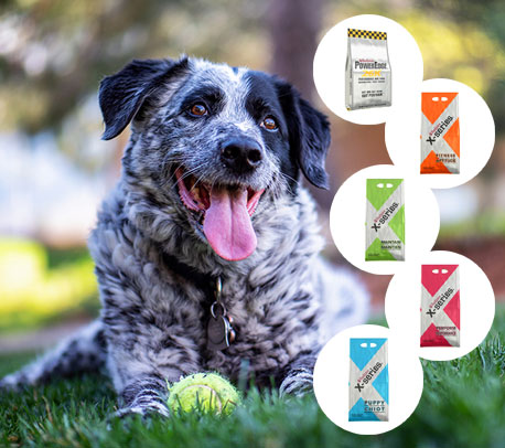 About RedPaw Pet Food