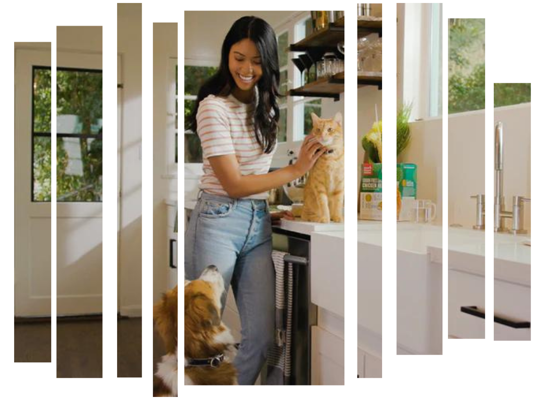 Inside The Honest Kitchen